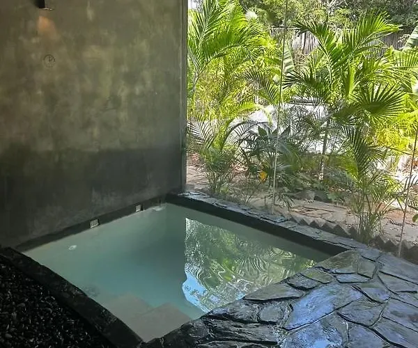5 Star Luxury With Infinity And Cenote Pools Apartment Tulum