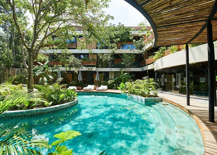 5 Star Luxury With Infinity And Cenote Pools